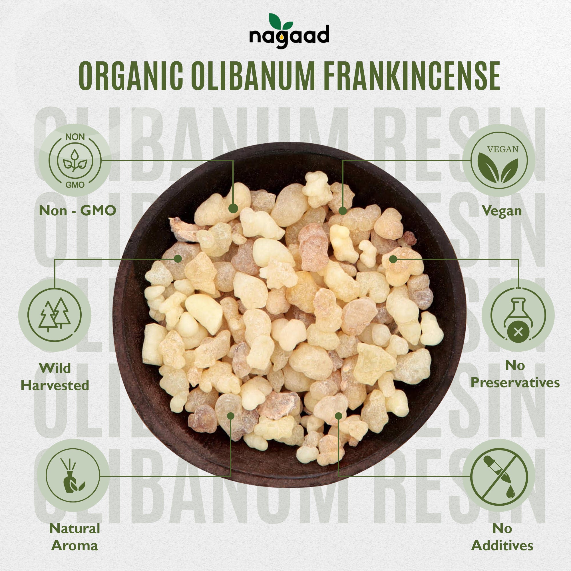 Smartphone with content on screen beside a potted plant against a white background with sunlight shadows.