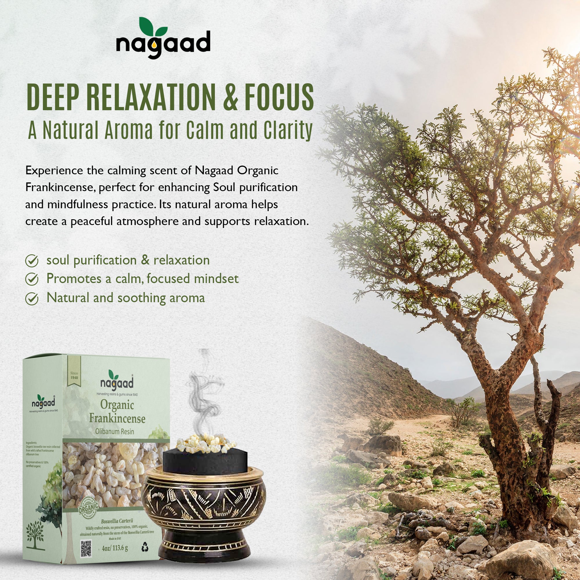 Green palm leaf beside blank white cards on a plain background.