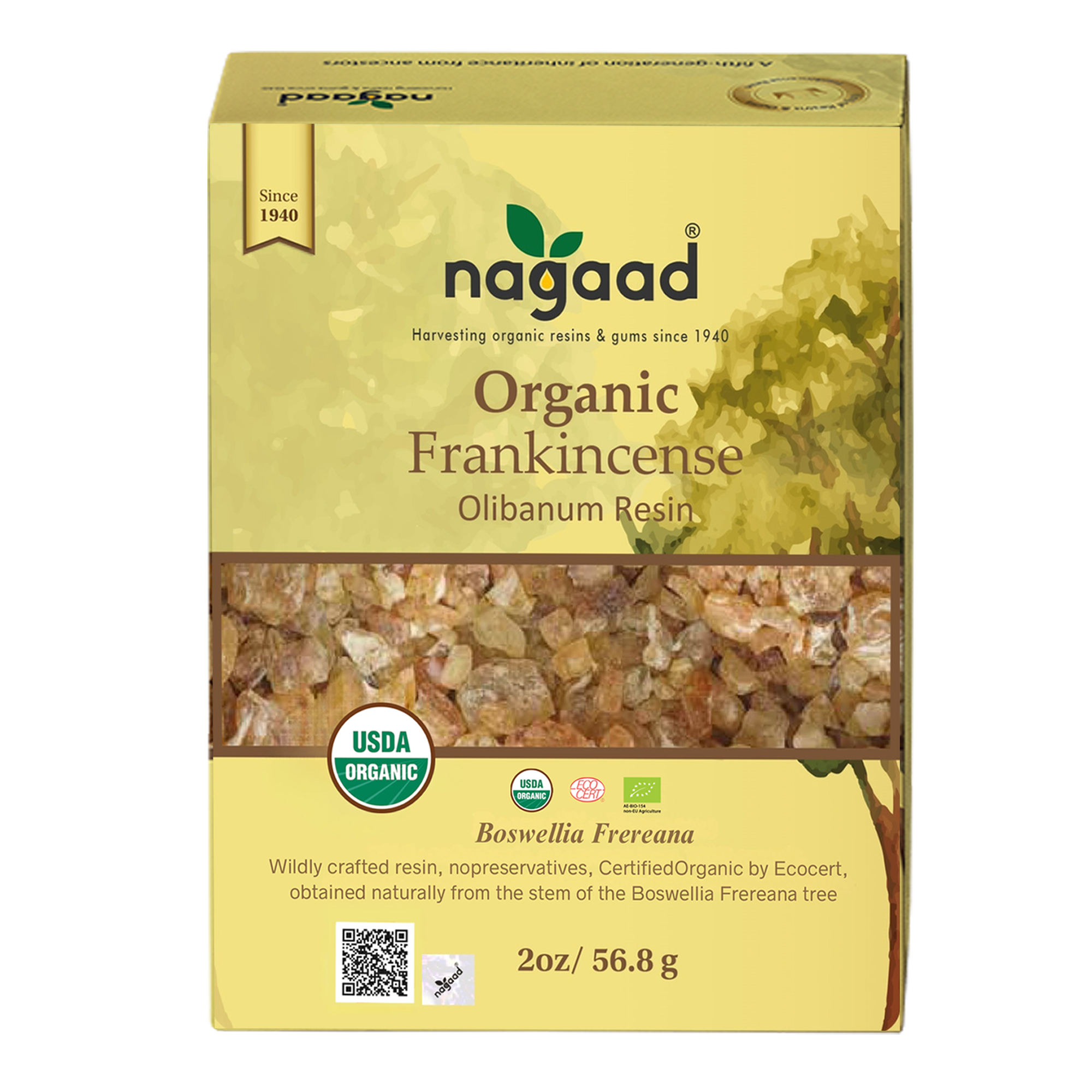 A single green leaf against a white background.