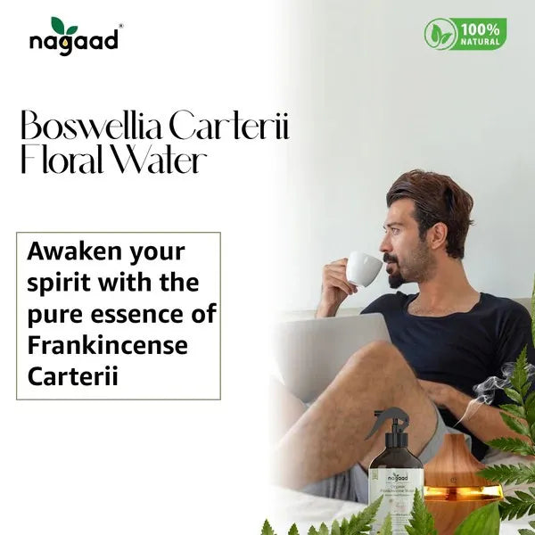 A single green leaf against a white background.