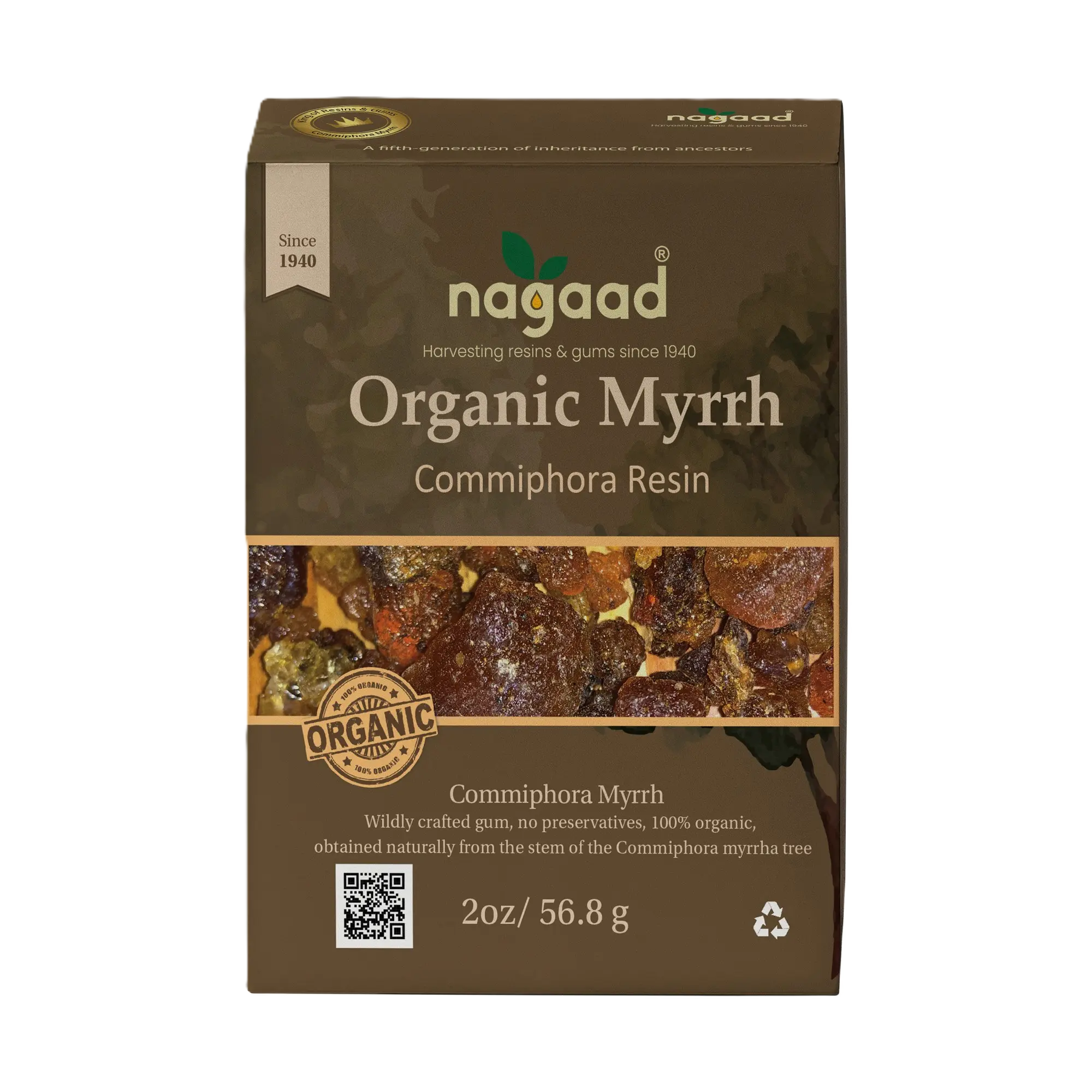 A single green leaf against a white background.