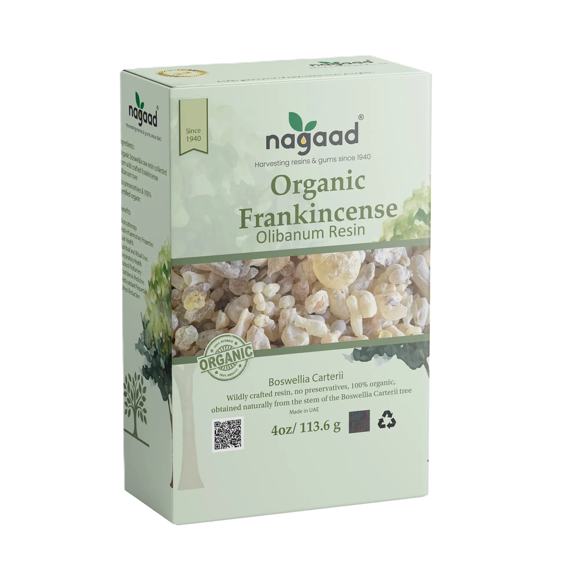 A single green leaf against a white background.