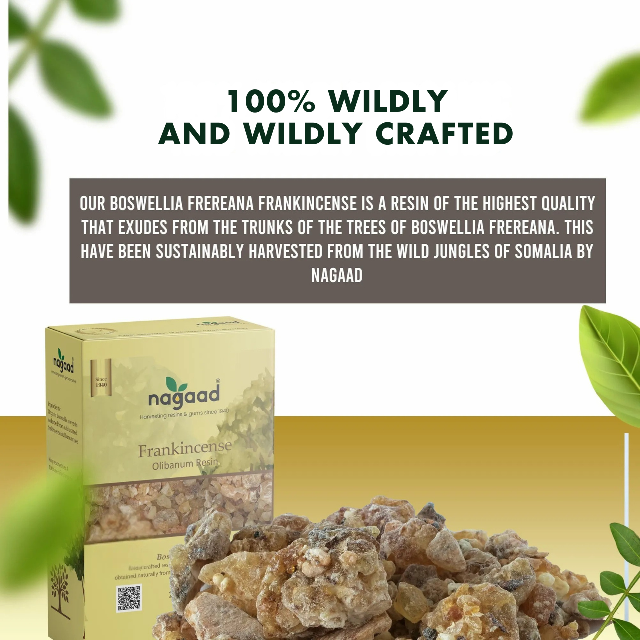 Green palm leaf beside blank white cards on a plain background.