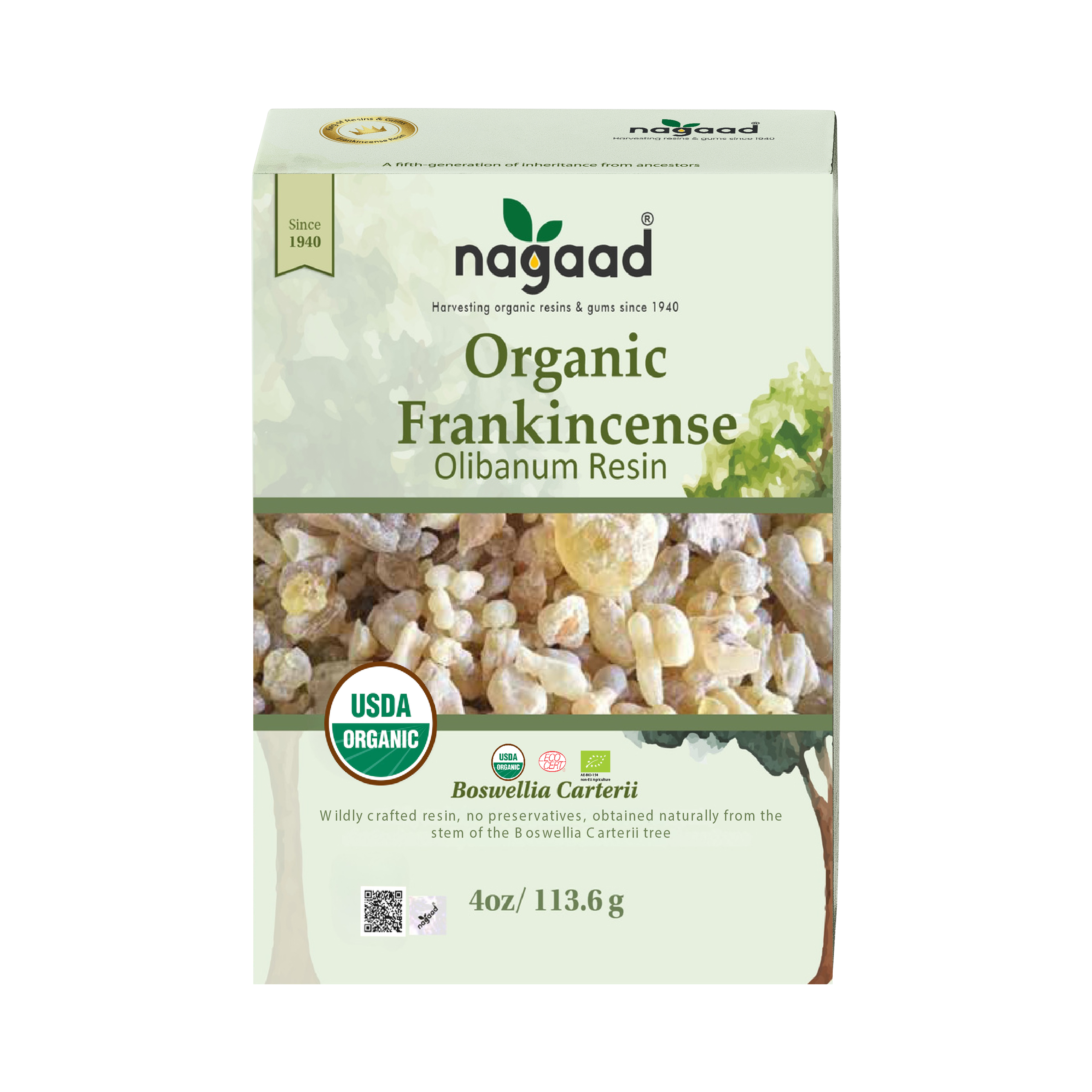 A single green leaf against a white background.