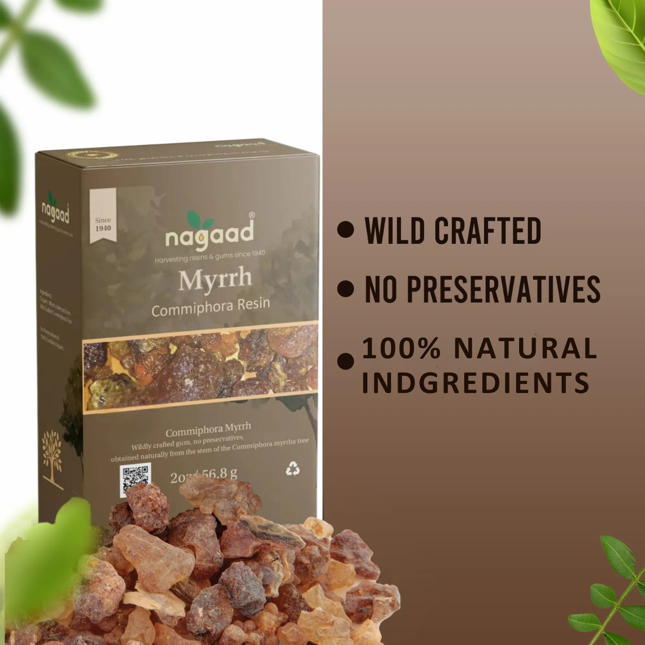 Smartphone with content on screen beside a potted plant against a white background with sunlight shadows.