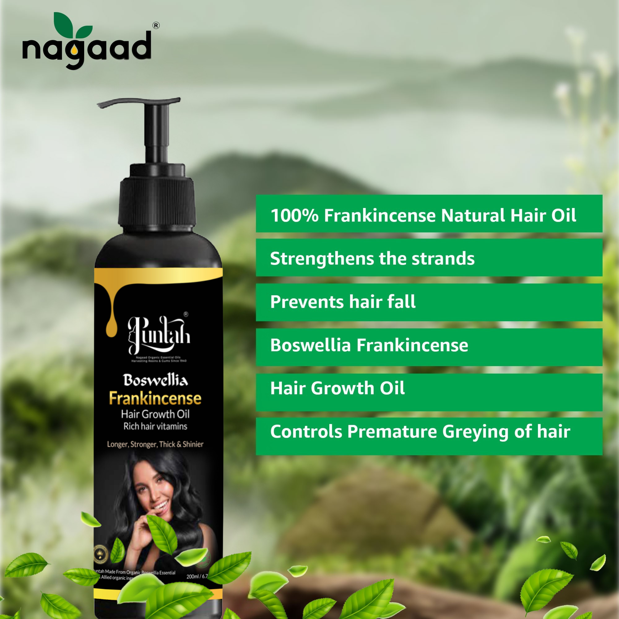 Green palm leaf beside blank white cards on a plain background.