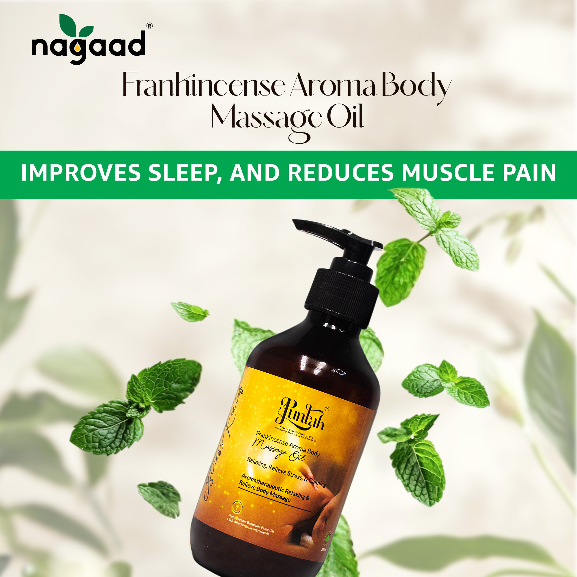 A single palm leaf in a clear glass of water on a white background.