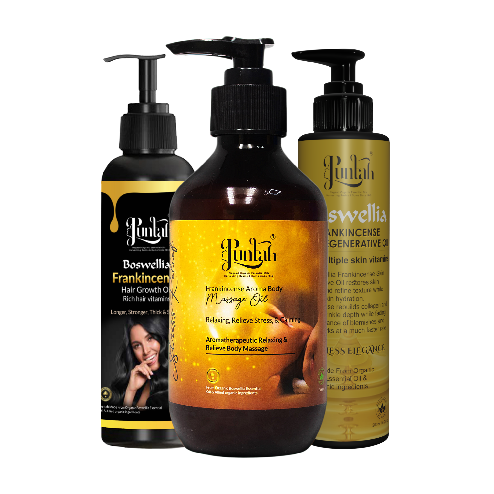 A single green leaf against a white background.