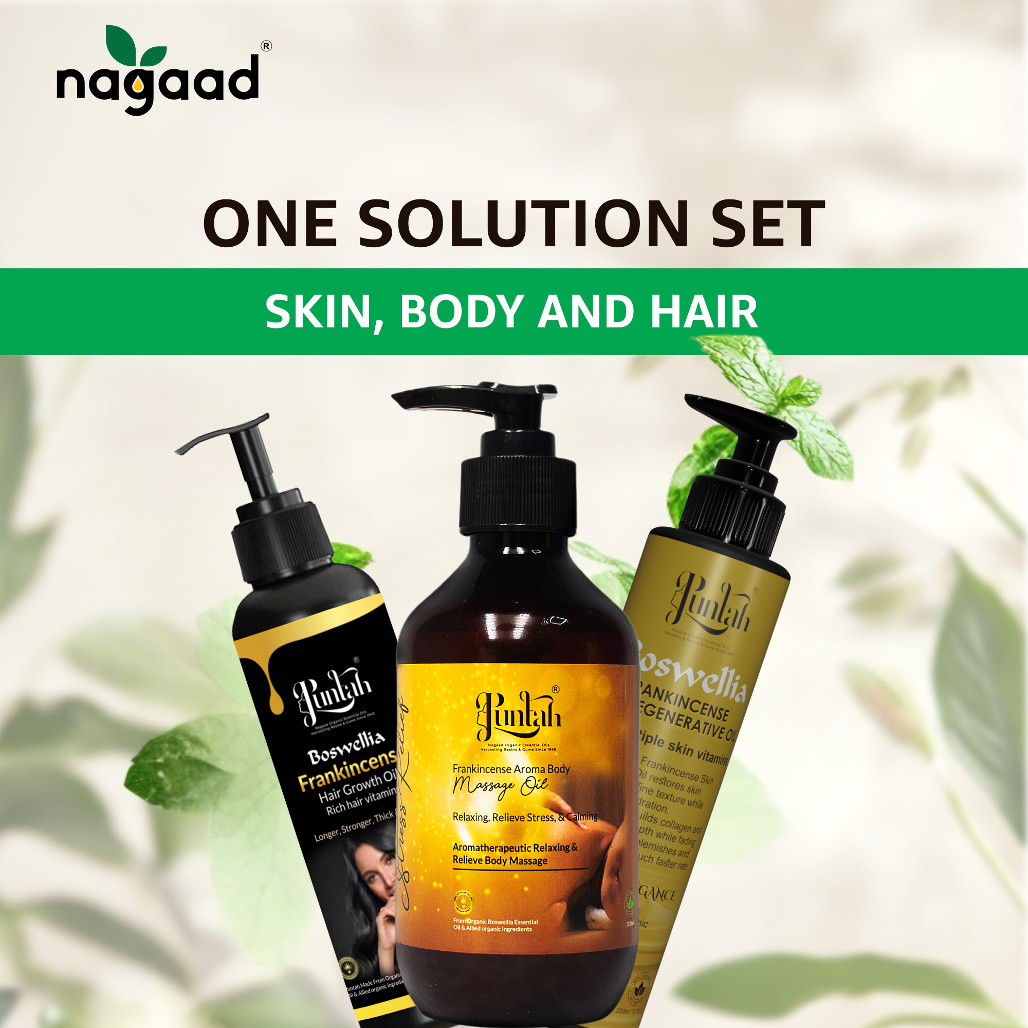 A single monstera leaf in a clear glass vase against a white background.