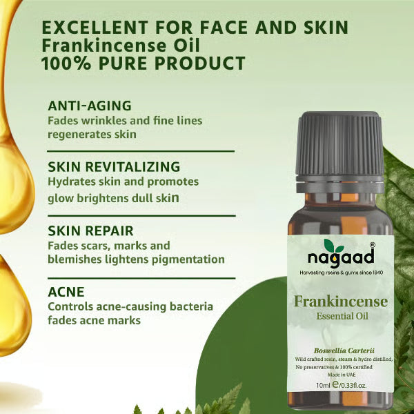 Green palm leaf beside blank white cards on a plain background.