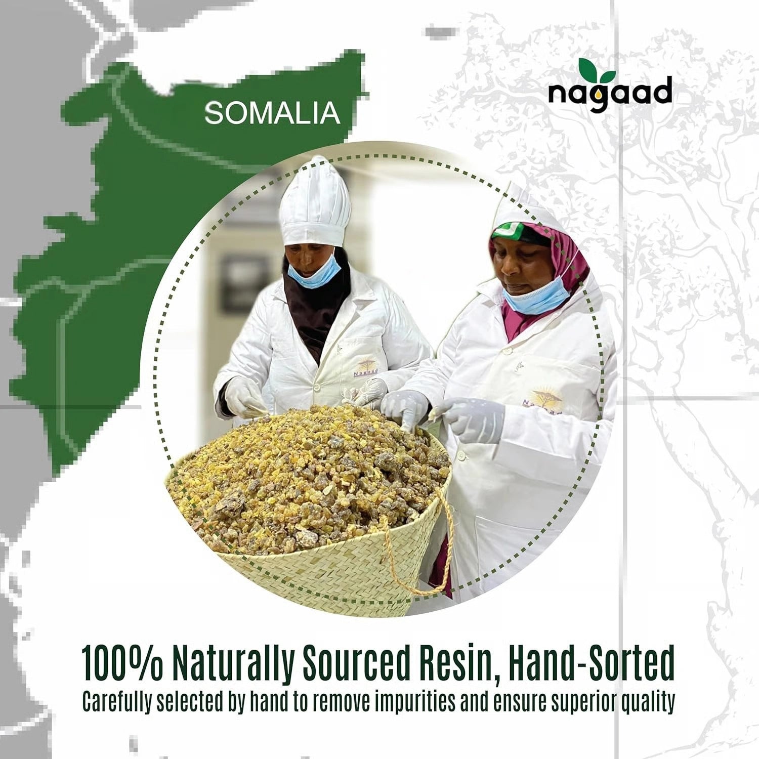 Green palm leaf beside blank white cards on a plain background.