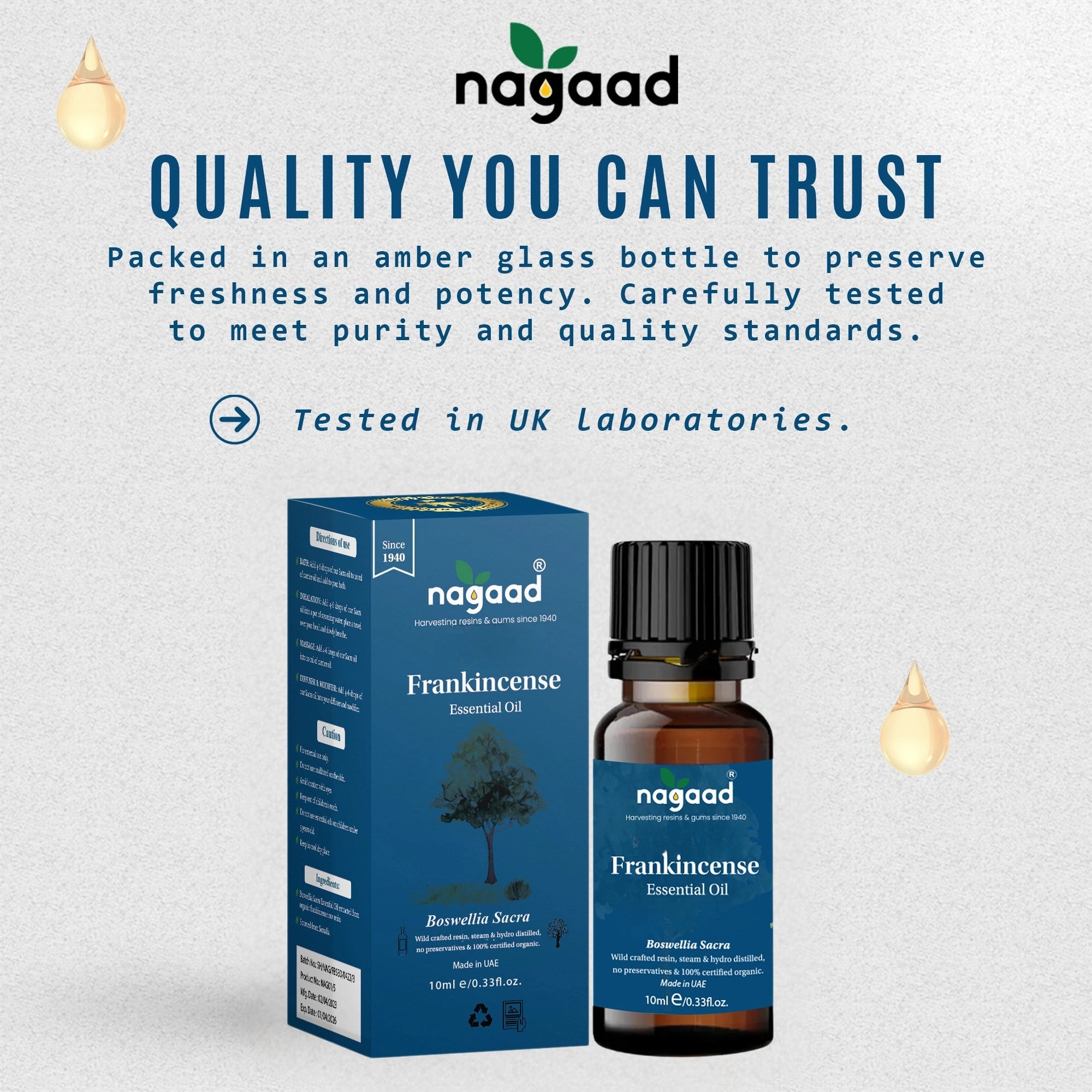 Green palm leaf beside blank white cards on a plain background.