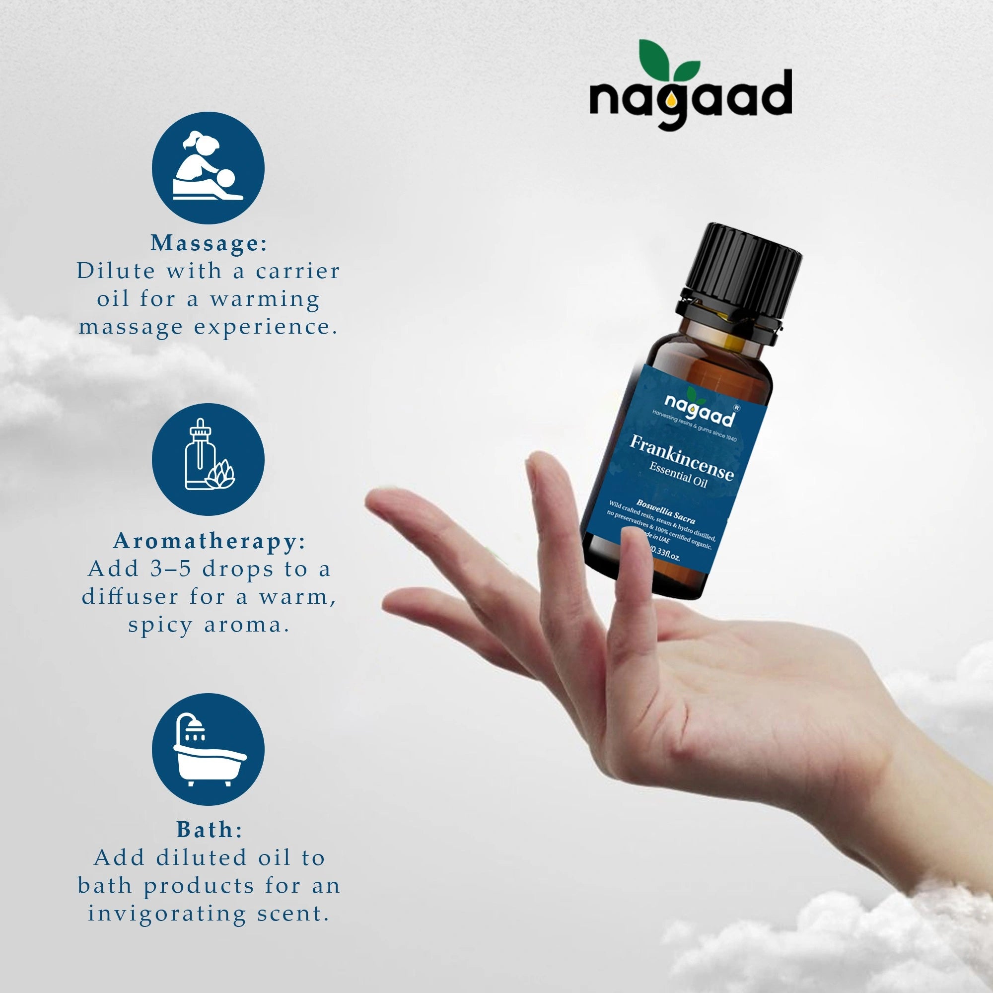 Smartphone with content on screen beside a potted plant against a white background with sunlight shadows.