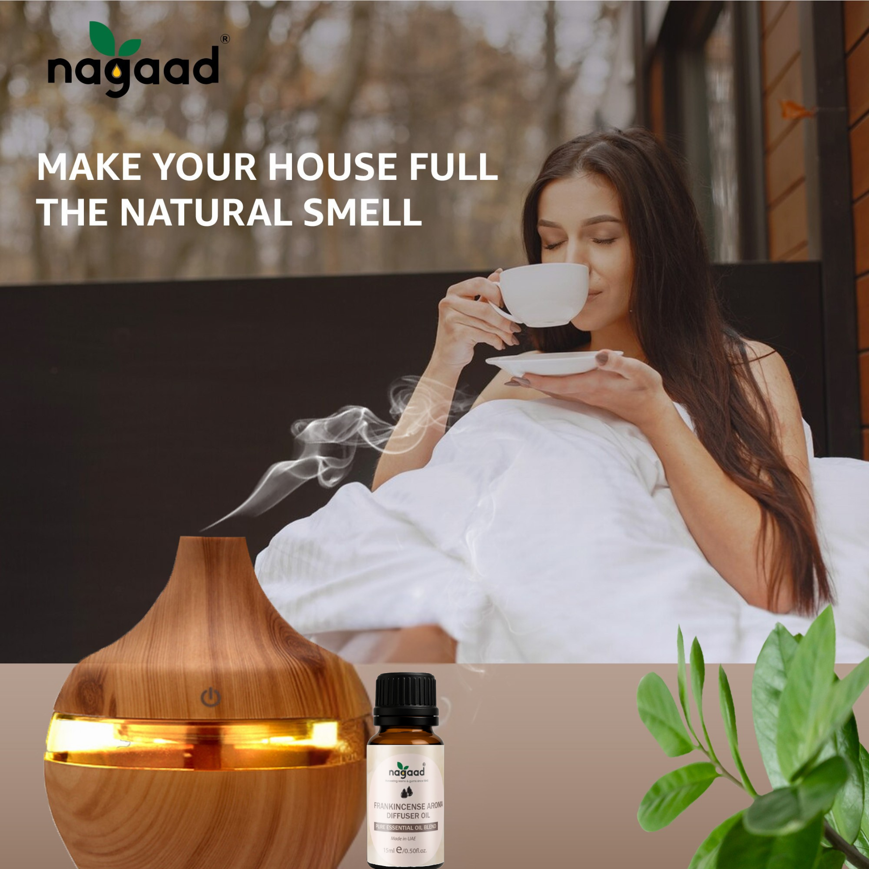 A single monstera leaf in a clear glass vase against a white background.