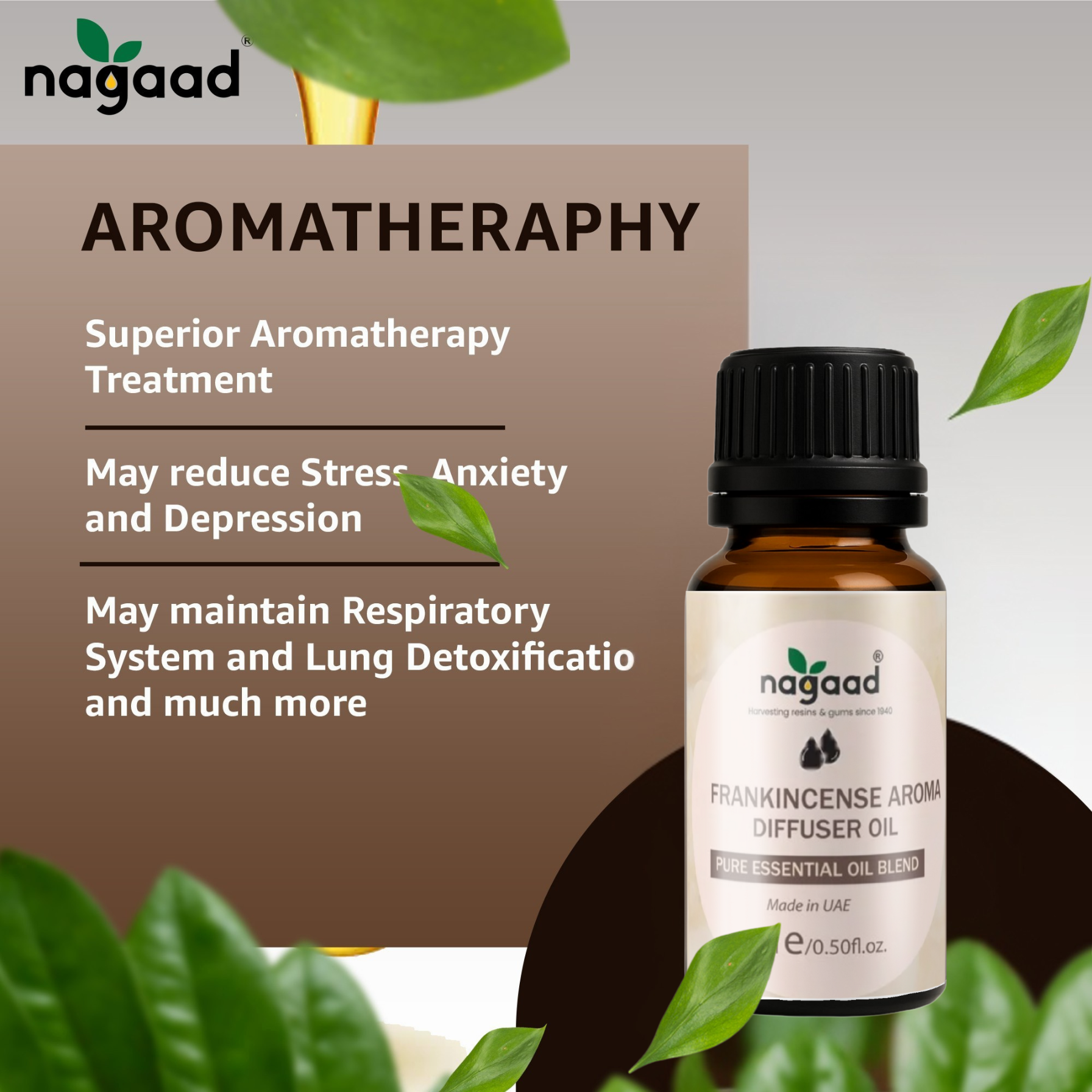 A single palm leaf in a clear glass of water on a white background.