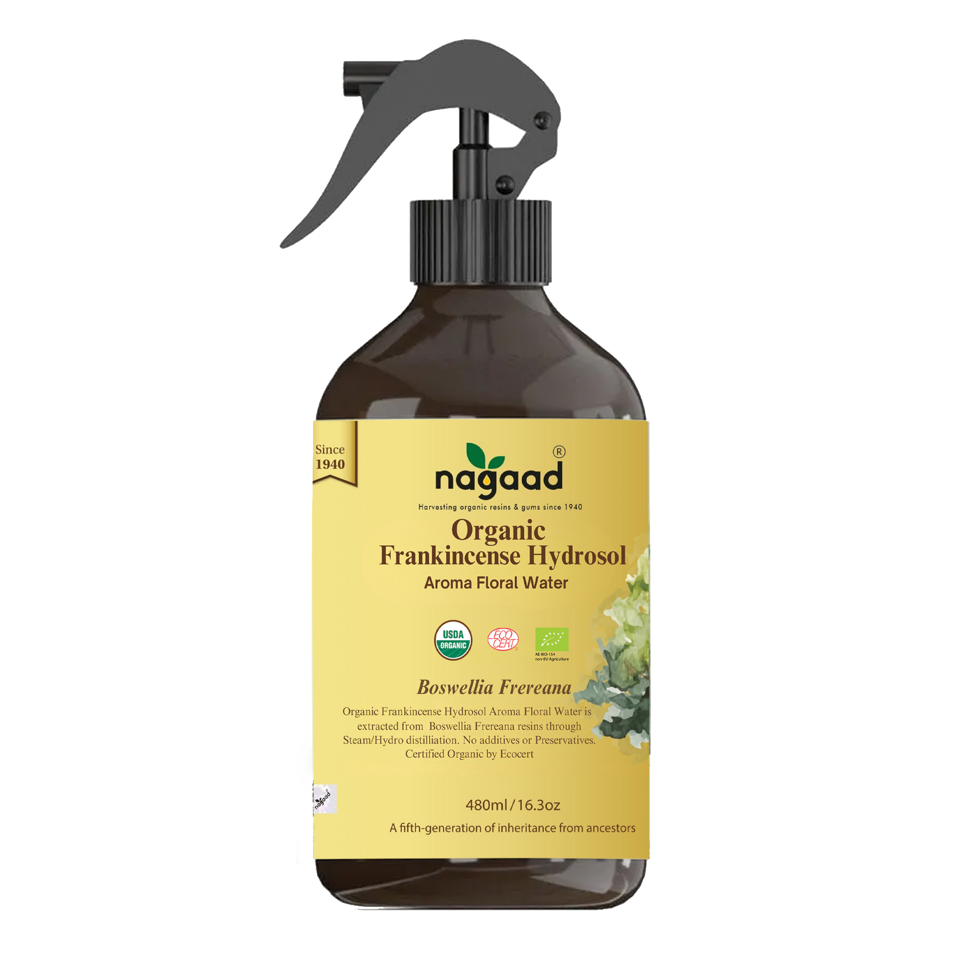 Boswellia Frereana Floral Water – Nagaad