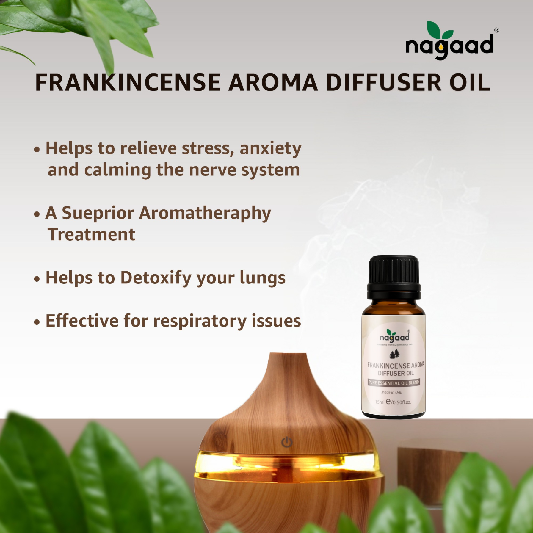 Green palm leaf beside blank white cards on a plain background.