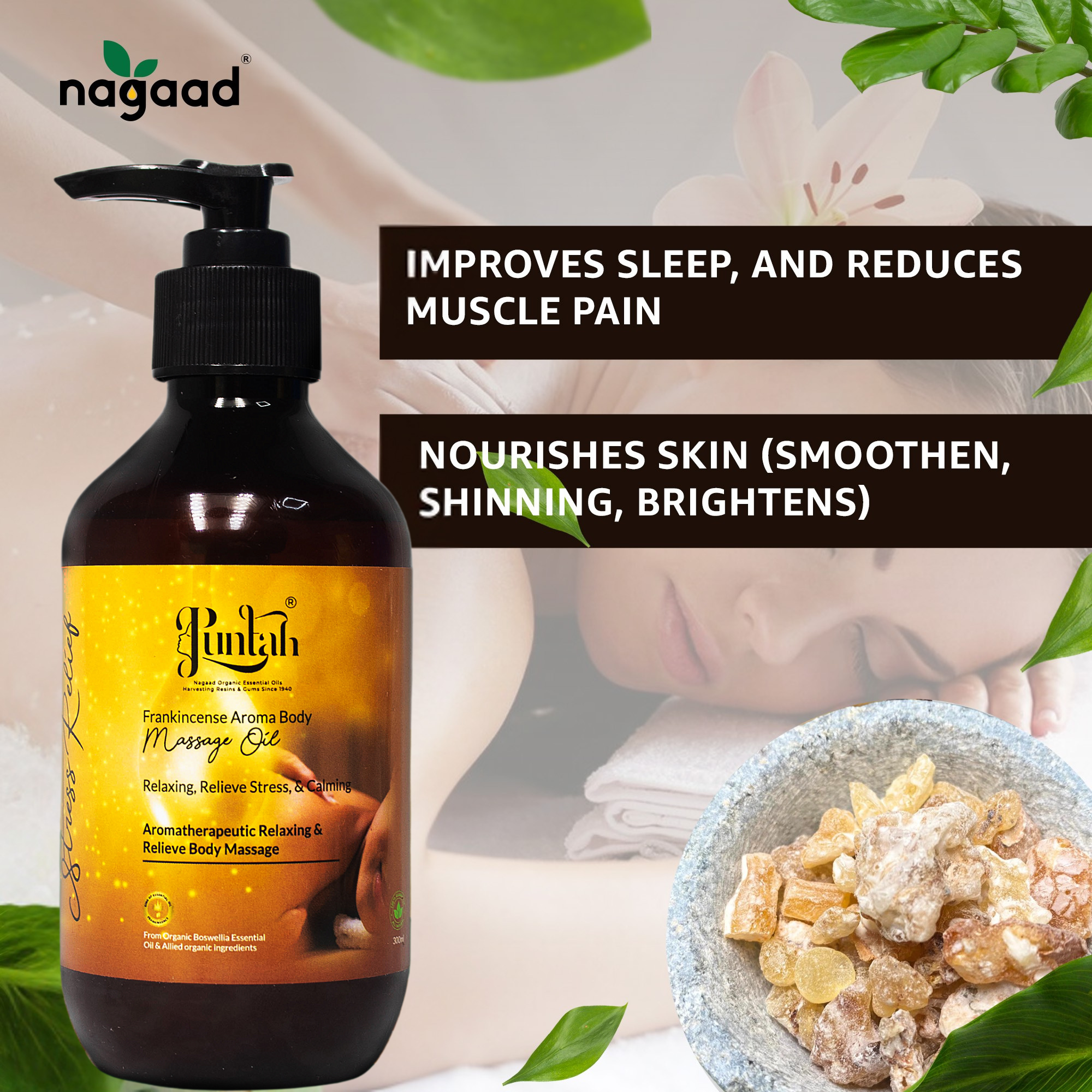 A single monstera leaf in a clear glass vase against a white background.