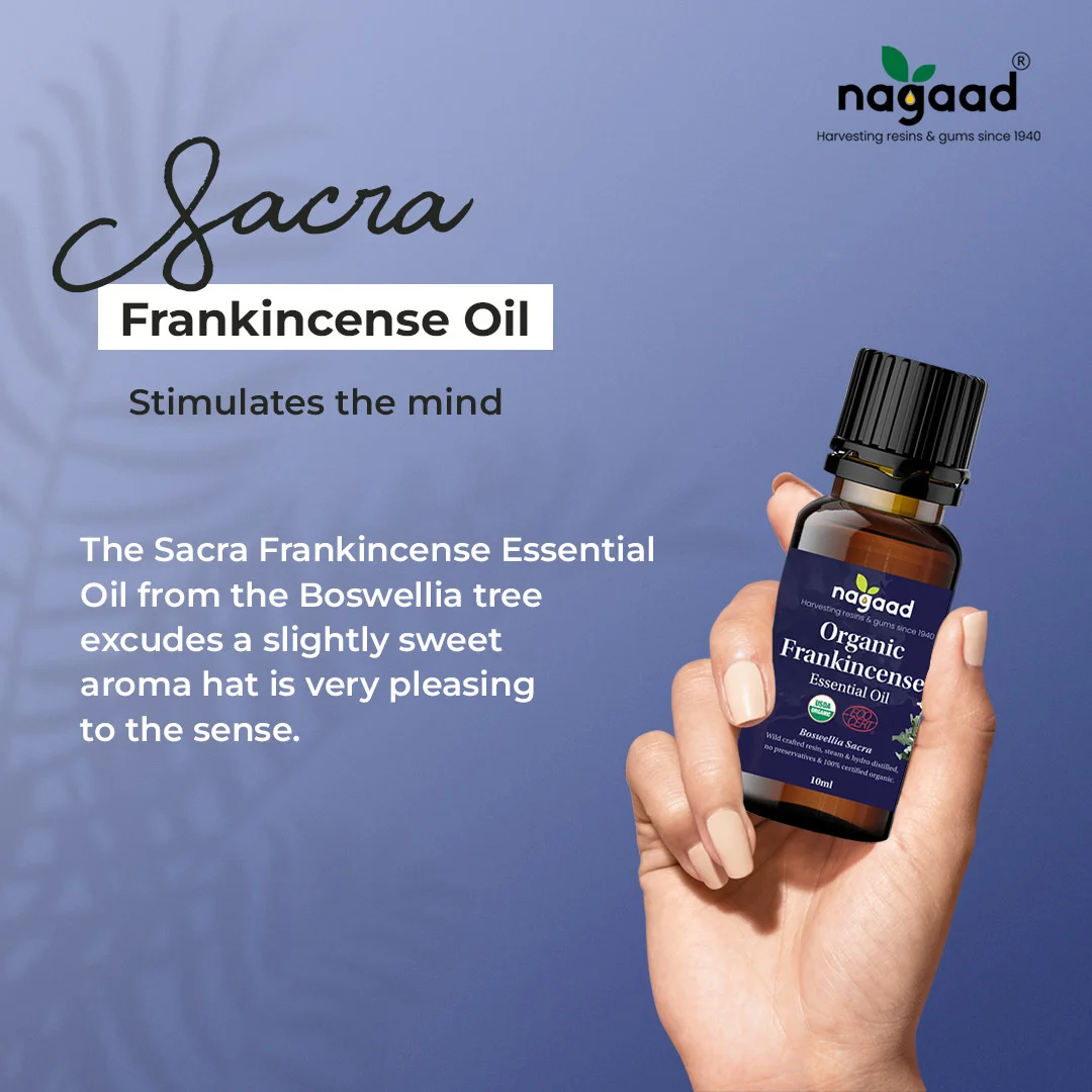 Frankincense Essential Oil - Organic Aromas