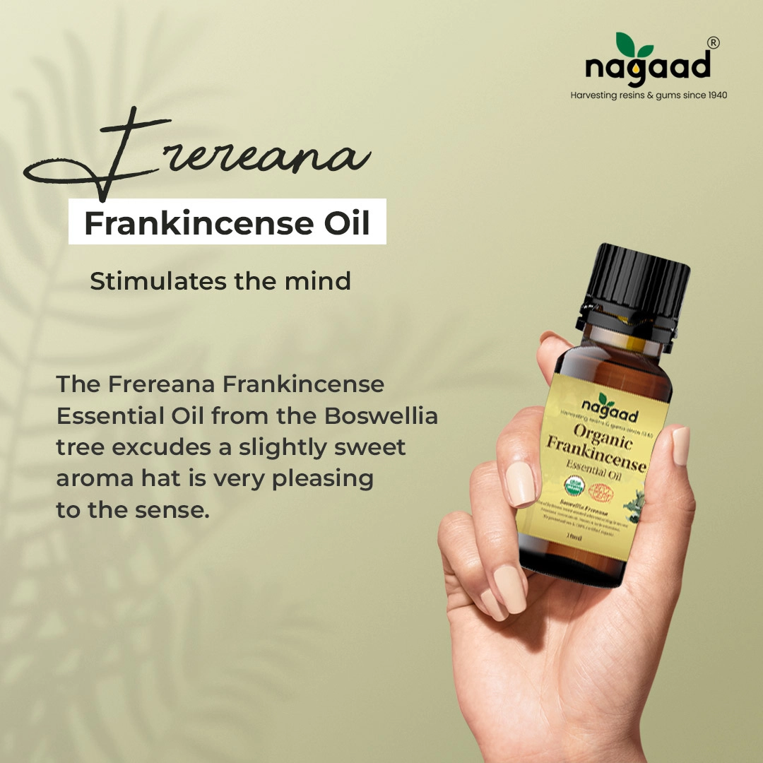 Pure Organic Frankincense Oil